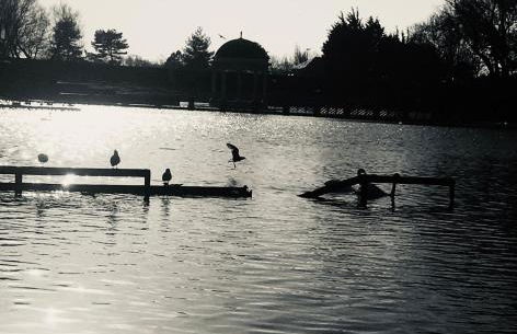 Woodlands Holiday Apartments - Foto 47