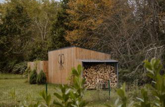 Zen Sasino - Foto 31