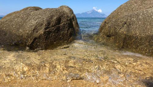 Rosa's Garden House - Foto 5, Other