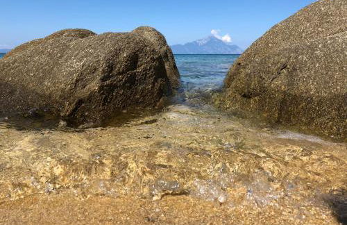 Nuovo Suites-Central Stay With Private Parking - Foto 27