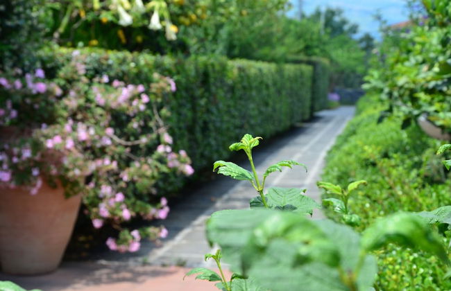 La Terra del Mezzo - Foto 38