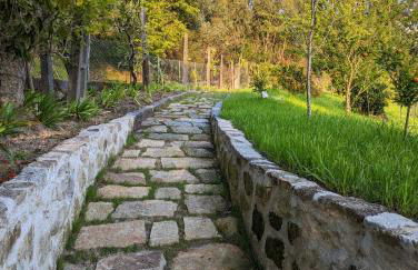 Casa da Mata - Foto 32