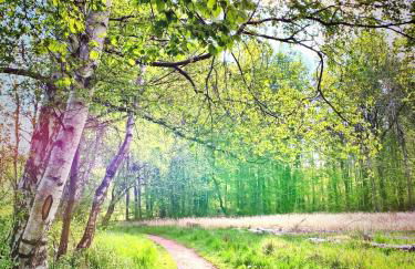 Ferienwohnungen Haus Sommerlust - Foto 31