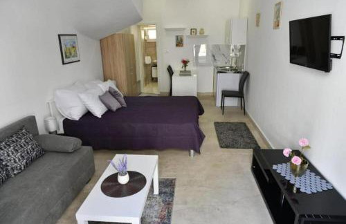 Studio Apartments Kamicak - Foto 8