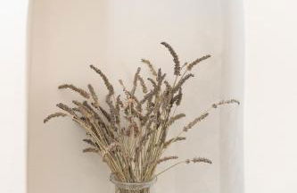 Villa Nónna, 1800s house renovated in 2023 - Photo 23