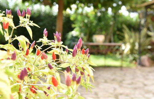 B&B Villa Anastasia Club - Foto 68