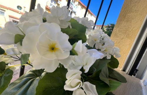 Avenzoar Apartments - Foto 27