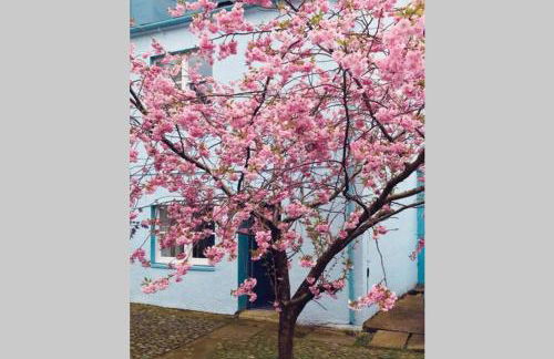 Albion Cottage - Foto 1