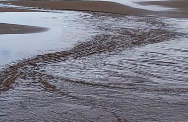 Le colibri - Photo 36