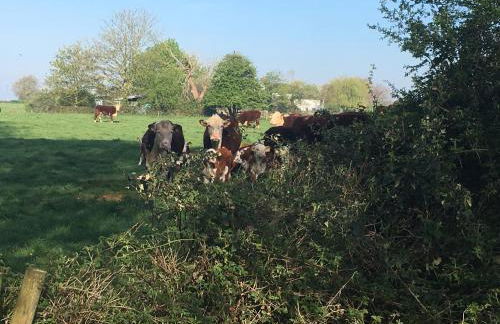 Romantic Country Cottage with Private Hot Tub - Foto 9