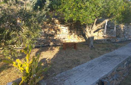 Tramonto Nel Delfini - Foto 22