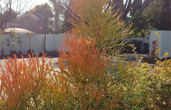 Wilger Guesthouse - Foto 34