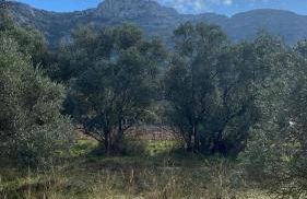 Vacances face au Luberon - Foto 35