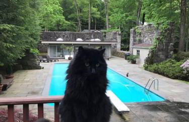 Midcentury Modern ZenHouse Sculptor Studio - Foto 54