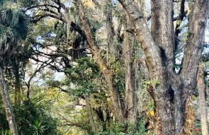 Country Welcome - Foto 37