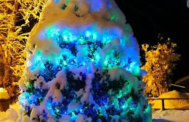 Appartamento La Foresta Abetone - Foto 34