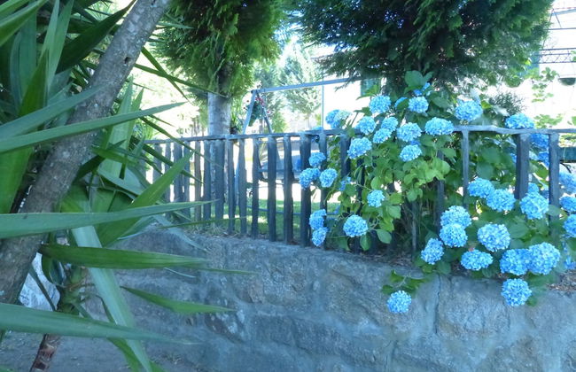 Quinta da Cartida - Foto 13