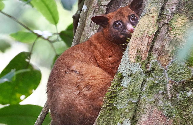 Sharlynn by the River - Foto 28