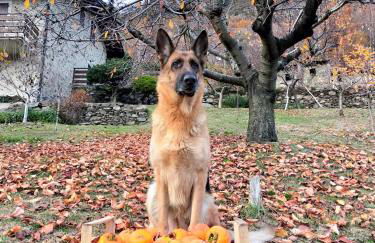 casa vacanza da ghislin - Foto 52