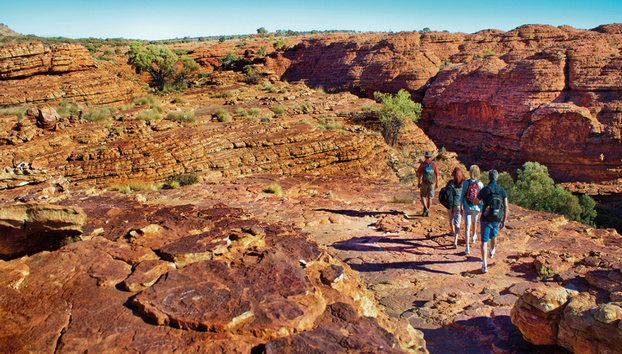 Safari 4x4 por el Outback de Palm Valley - Tour de día completo - Foto 2