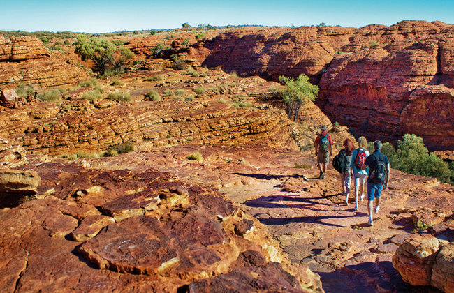 Safari 4x4 por el Outback de Palm Valley - Tour de día completo - Foto 2