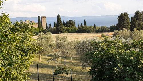 CASA VACANZE ANTICA VOLSINII - Foto 3