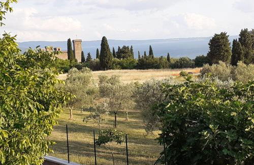 CASA VACANZE ANTICA VOLSINII - Foto 3