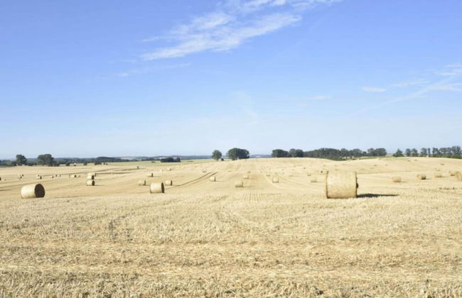 Wohnung Nahe Ostsee Kuhlungsborn - Foto 34