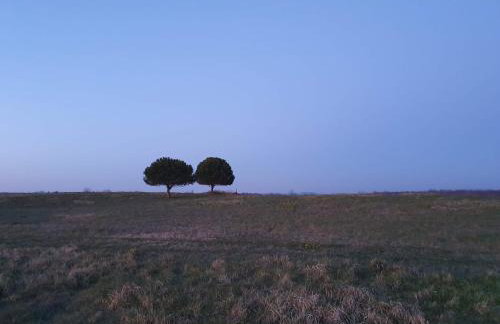 Mediterranean Beach House - Foto 67