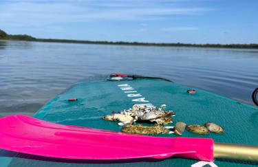 Domek pod świerkami 2 - Foto 10