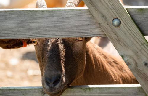 Campion Lodge - Photo 32