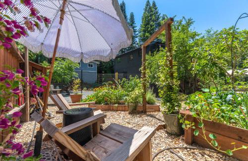 Point of View - Foto 17