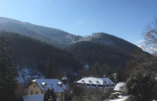 2P 50 m2 - Spacieux, Équipé, Moderne, A la montagne - Photo 9