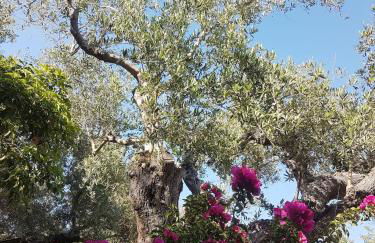 Elia Guesthouse - Kissamos - Foto 9