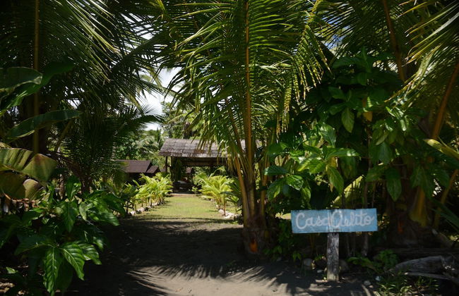 Casa Cielito - Photo 41