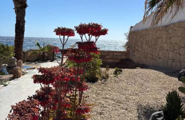 Little Paradise in El Médano - Foto 25