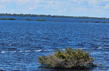 Premium Amazon Jungle Lodge - Foto 53