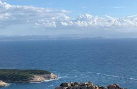 Roulotte individuelle dans le maquis Corse - Foto 21