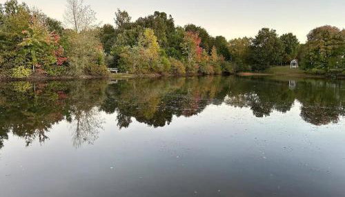 Scenic Cottage with Trails, Pond & Valley Views - Foto 4