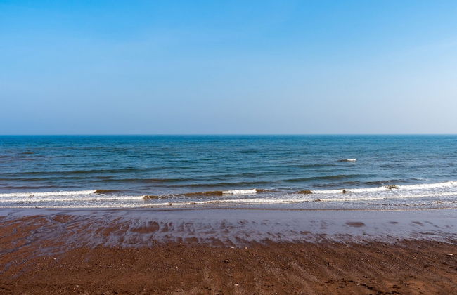 The Cottage in Holcombe - Foto 63