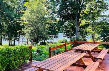 Park Wilkasy - Foto 33