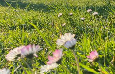 Residenza Nosy Be - Foto 74