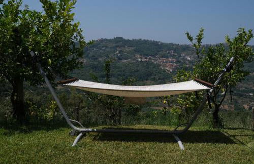 Villa Finocchito - The sound of silence - Foto 17