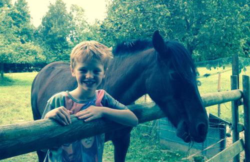 La Gilberdiere - Foto 9