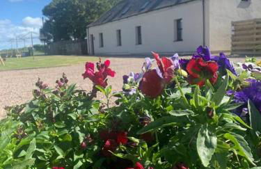 Sea View ,Cottage2 Dunnetbay accommodation - Foto 1