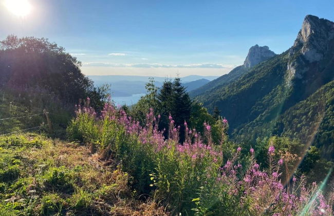 Savoy Style Mountain Stay - Foto 43