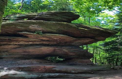 Chalet in Dabo near Castle Ruins - Photo 32