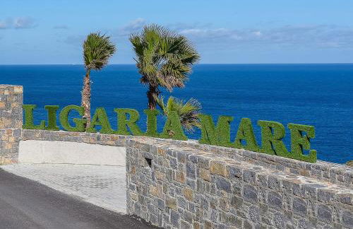 Ligaria Mare - Foto 64