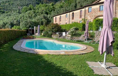 Il Grillo sull'Olivo - Foto 1