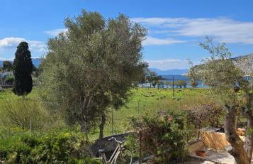 Perivleptos Ι - Foto 34